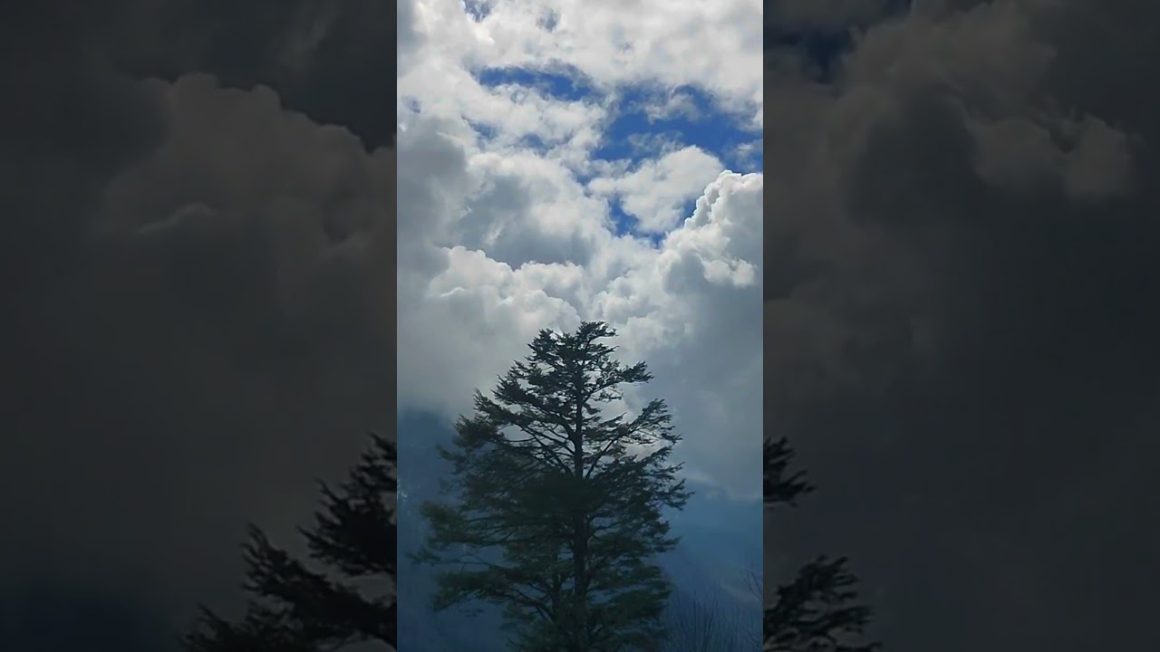 Beauty of katao, North Sikkim | Beautiful mount #sikkim #shorts