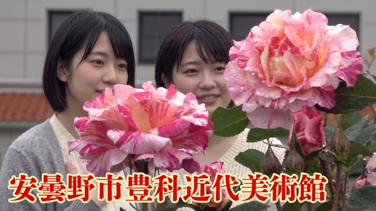 【安曇野市豊科近代美術館のバラ園】中世ヨーロッパの修道院をモチーフにした近代的な建物と500種1000本以上の赤やピンクといった色鮮やかなバラ。