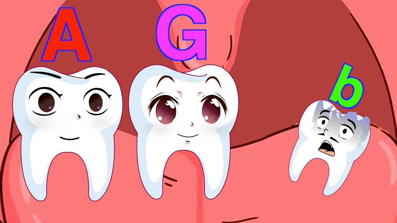 Tooth Adventure