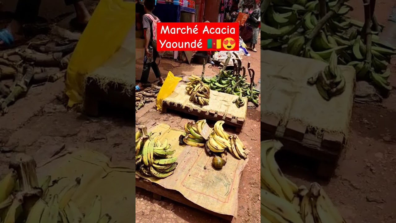 VLOG yaound&eacute; march&eacute; acacia #vlogyaound&eacute;march&eacute;#yaound&eacute;cameroun#vlogyaound&eacute;cameroun#vlogcameroun#