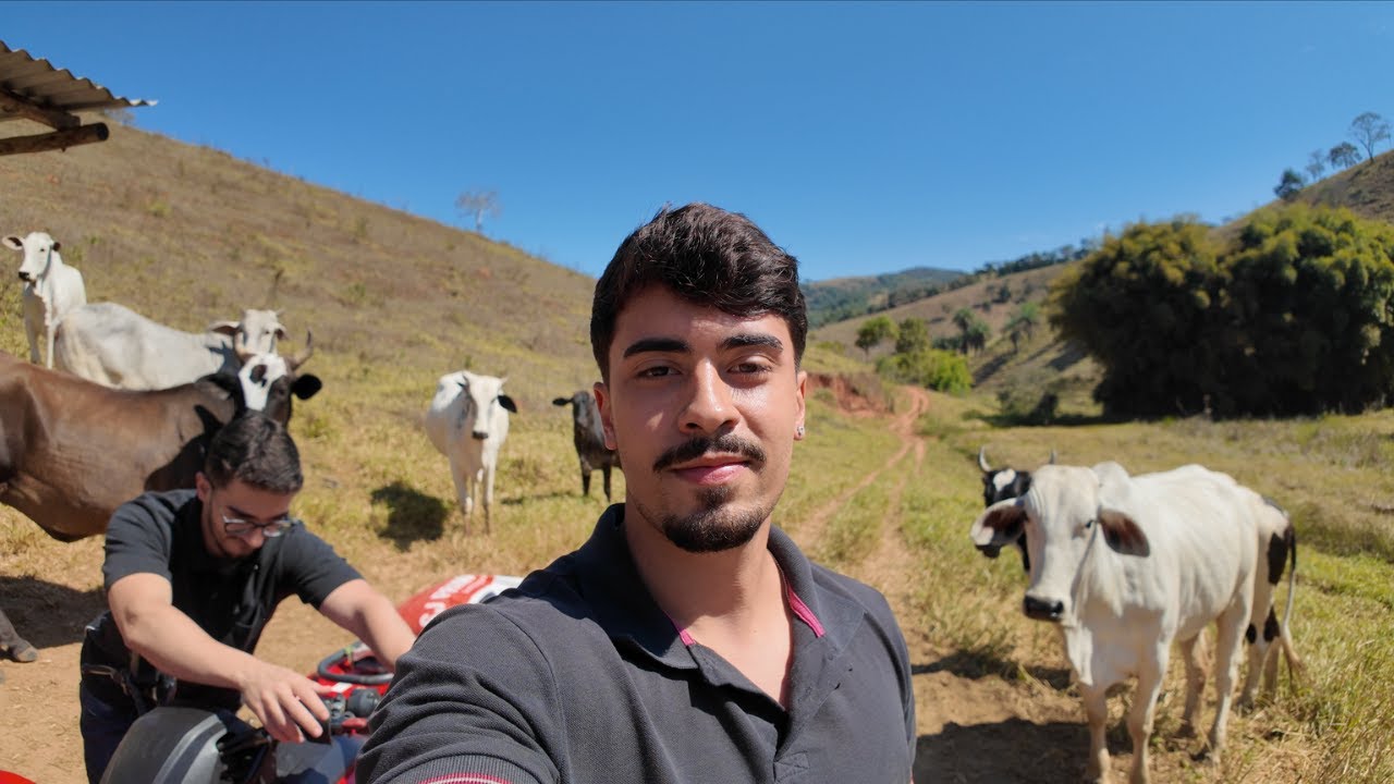 Visitando MINAS GERAIS depois de 1 ANO nos EUA | Vlog na fazenda