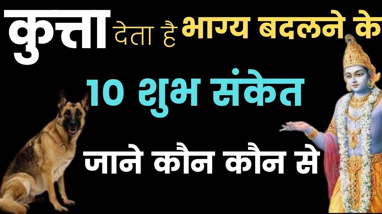 कुत्ते के बताए 10 शुभ संकेत | कुत्ते से जुड़े शगुन अपशगुन | घर में कुत्ते का आना देता है ये 10 संकेत