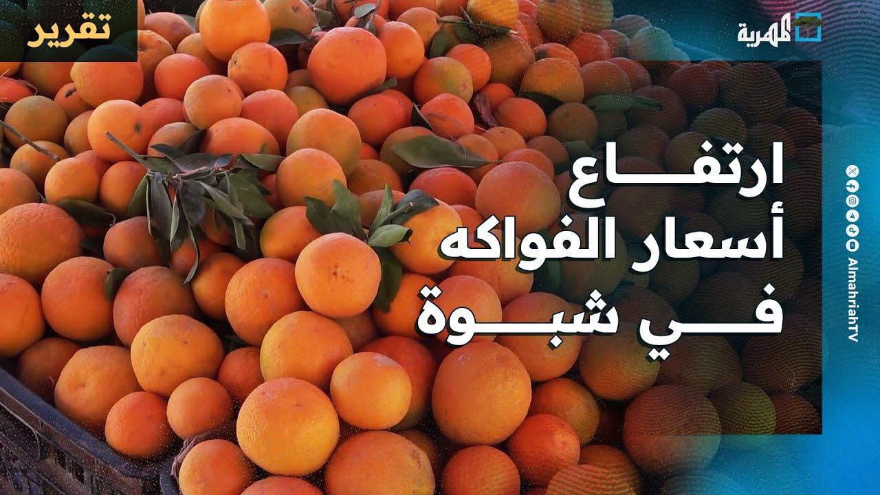 ارتفاع أسعار البرتقال وفواكه أخرى في شبوة ومواطنون يطالبون بتشديد الرقابة
