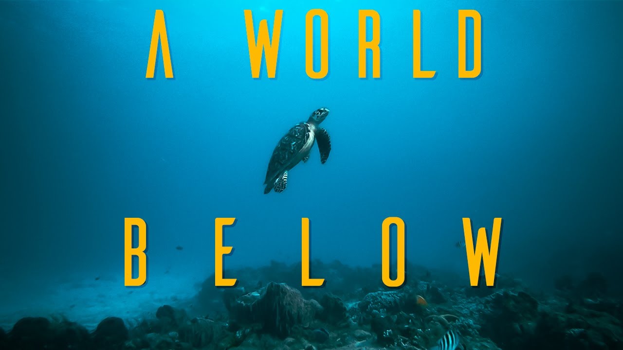 A World Below