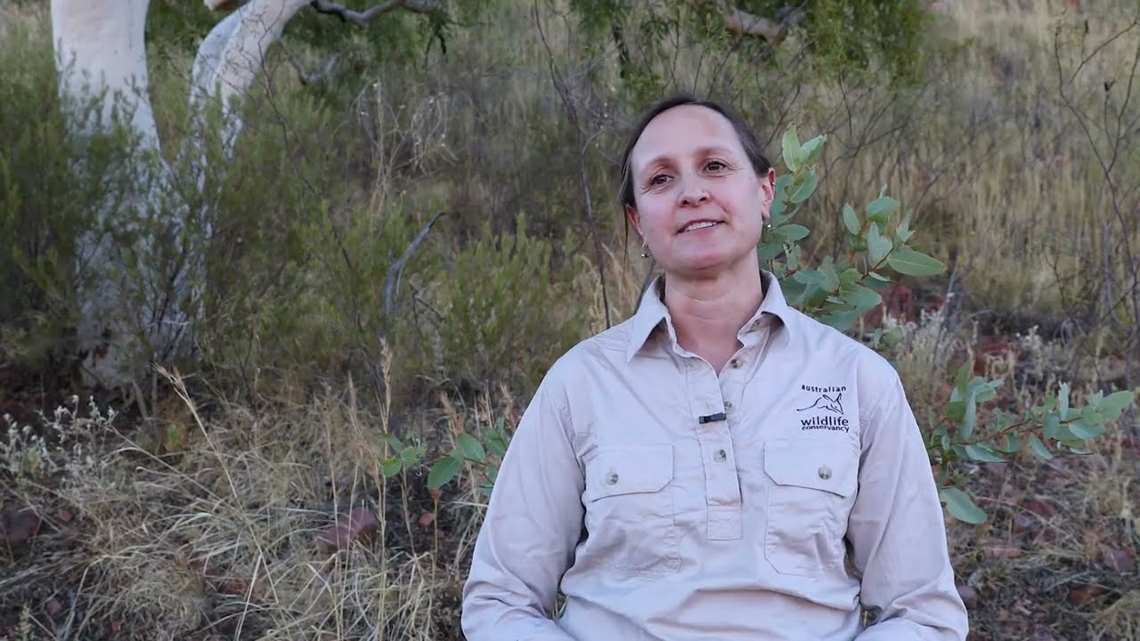 Conserving the Central Rock-rat