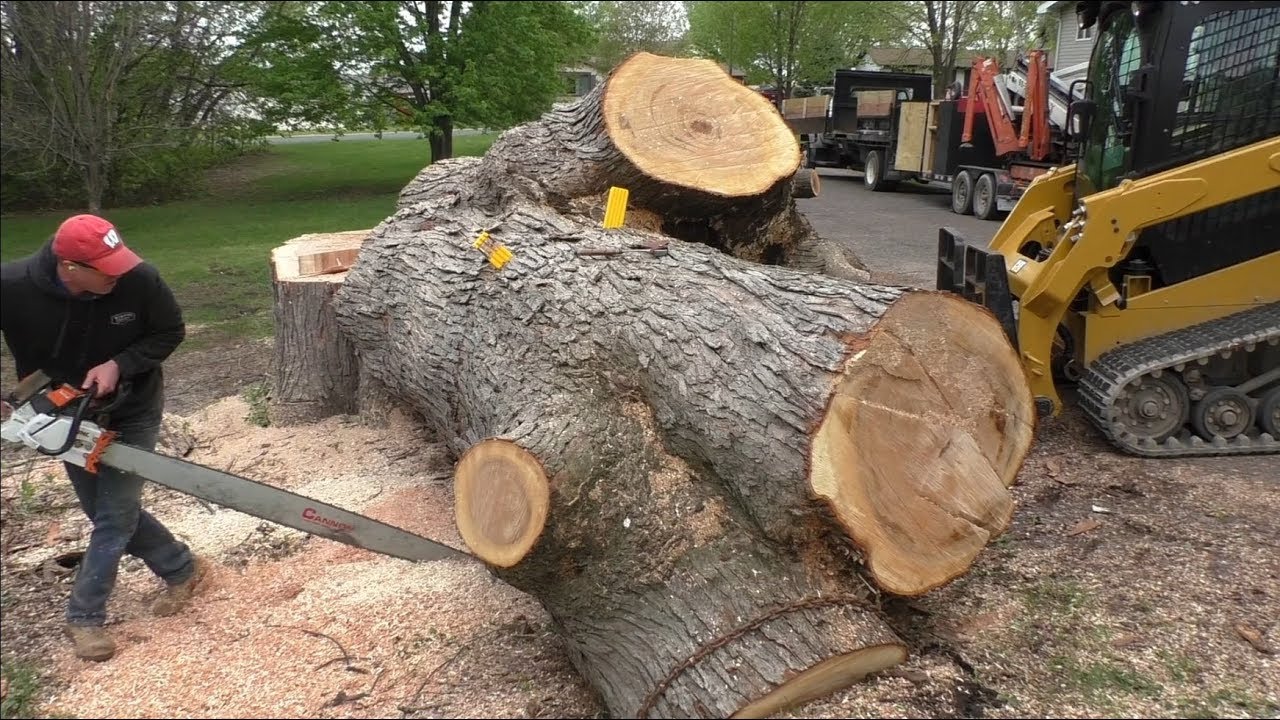 Ported Stihl 661 with 60