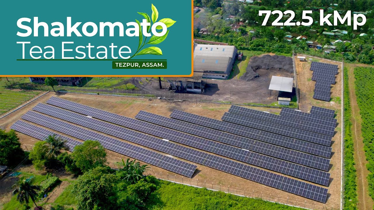 722 kWp at Shakomato Tea Estate, Tezpur, Assam by Roofsol Energy Pvt Ltd