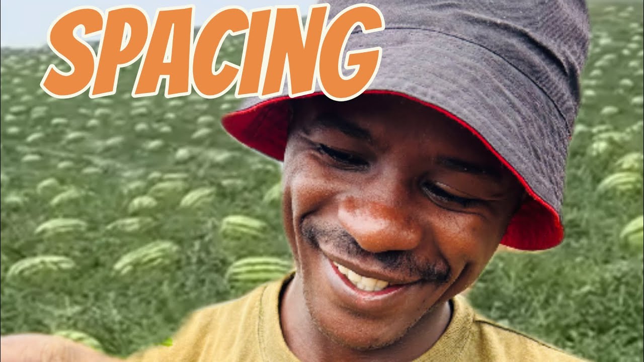Best watermelon planting spacing for maximum protection and why