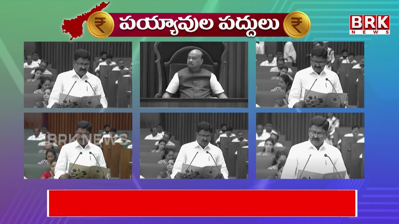 AP Assembly Budget Session 2025 | Minister Payyavula Keshav About Budget | Chandrababu @brknewsofficial