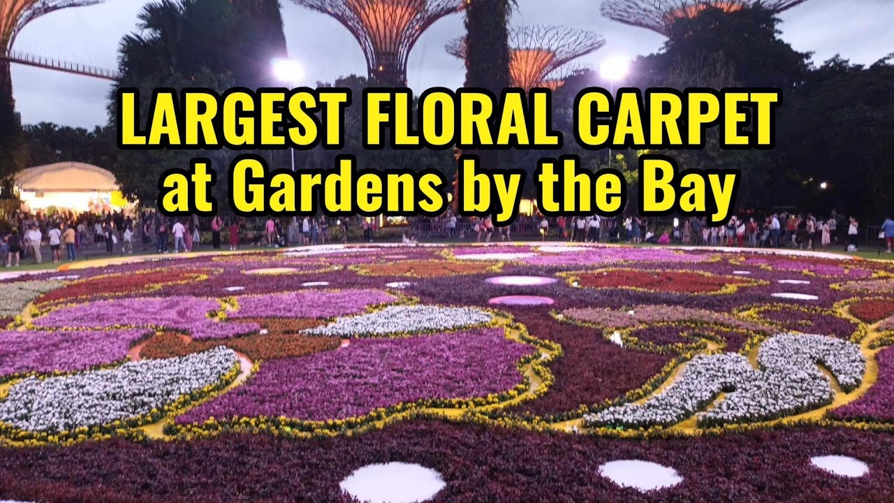 LARGEST FLORAL CARPET at GARDENS BY THE BAY SINGAPORE