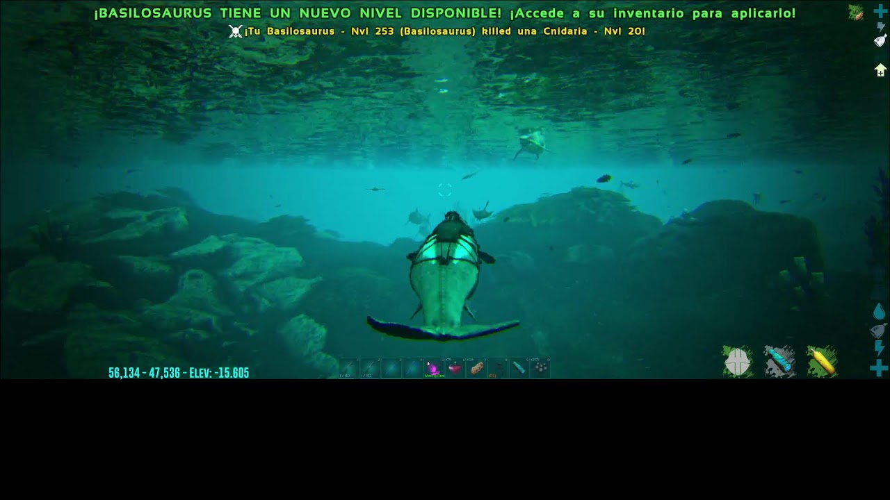 ARK  SURVIVAL