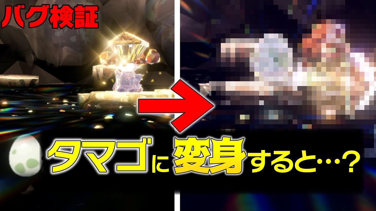 【タマゴバグ】レイドに『タマゴ』を出して『メタモン』に変身させると…【ポケモンSV  検証 】