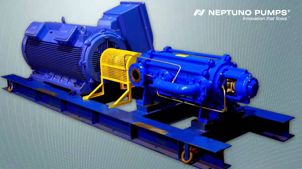 Neptuno Pumps&reg; Horizontal Multistage Pumps
