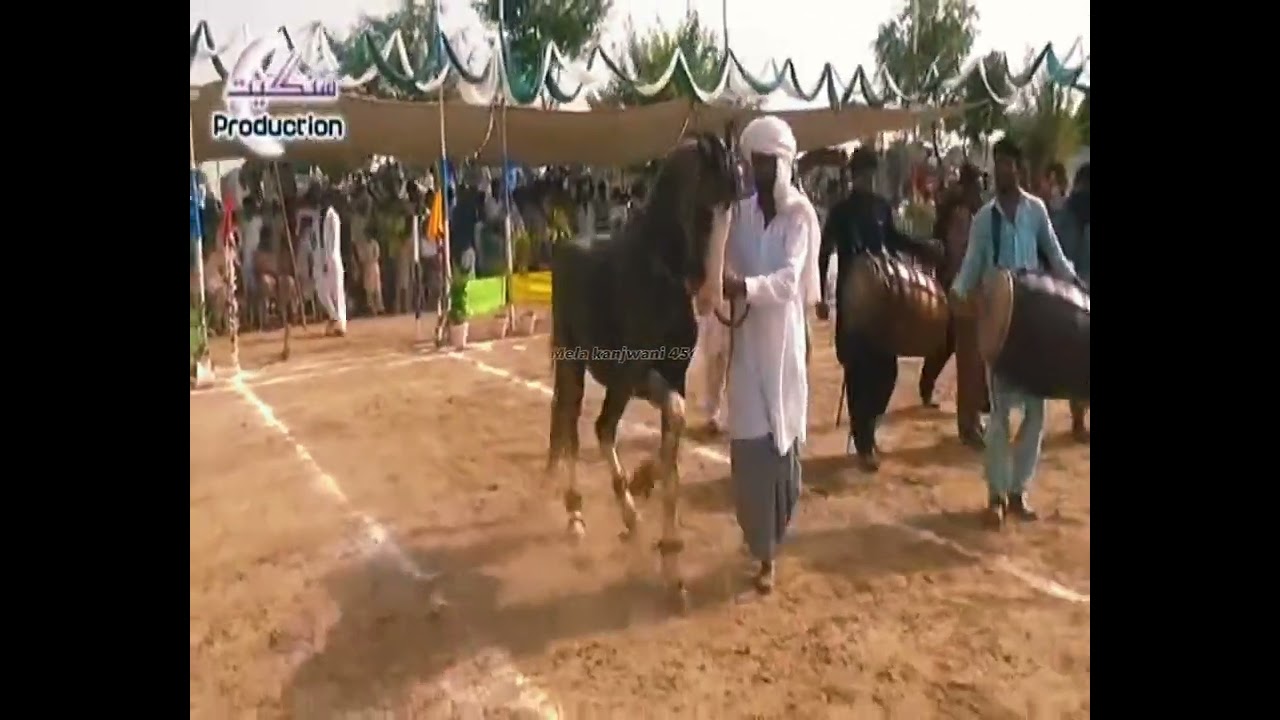 horse Dance.ghoda nach.mela kanjwani.ustad Allah dittah mohl.mahr basheer naul.wah ghora wah