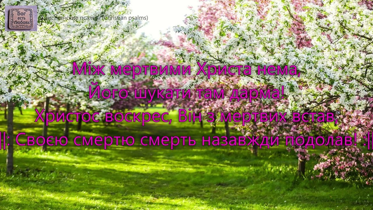Живий Христос! лунає скрізь. _гр. Песня Жизни. Альбом Благодарил ли ты_