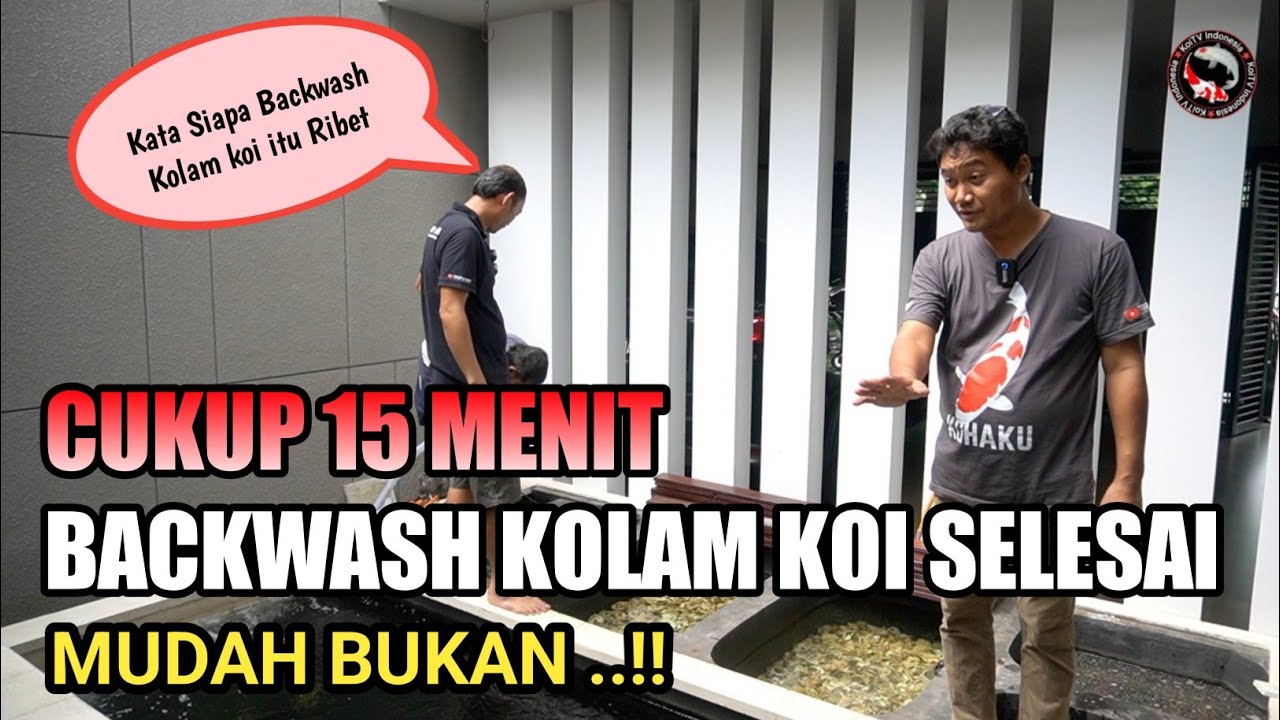 CUKUP 15 MENIT BACKWASH KOLAM IKAN KOI SELESAI | MUDAH BUKAN   !