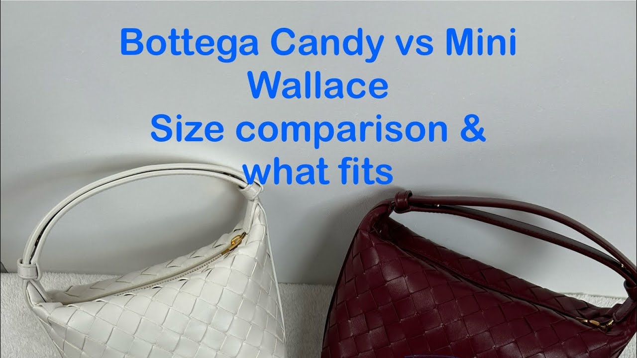 Watch before you buy! Bottega Candy Vs Mini Wallace - size comparison & what fits