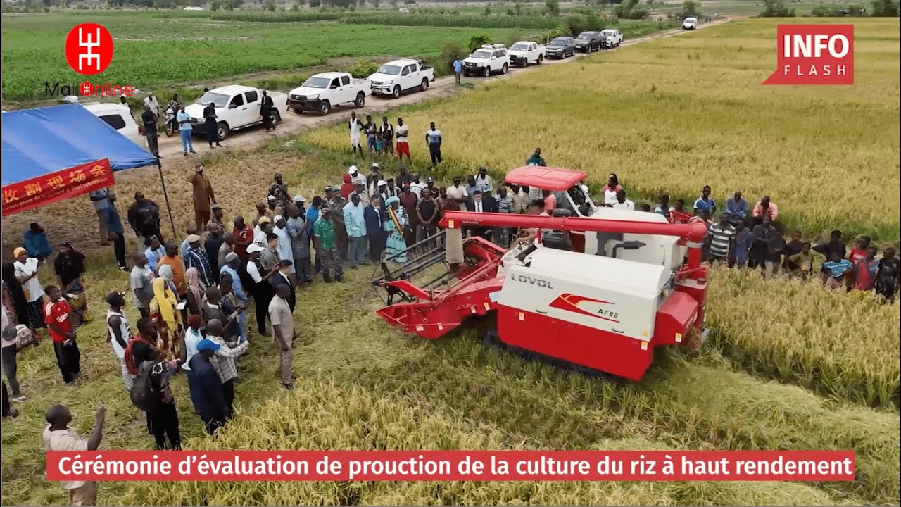 COOPÉRATION SINO-MALIENNE EN MATIÈRE DE DÉVELOPPEMENT AGRICOLE