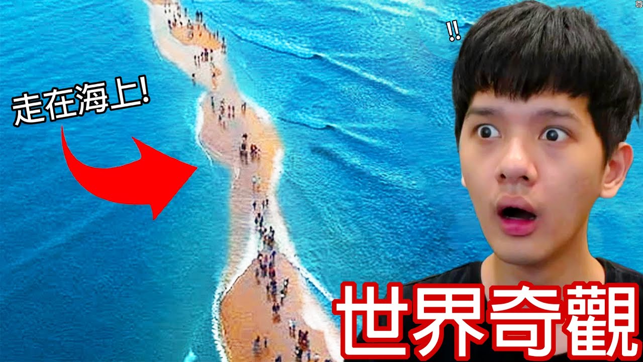 【尊】它們是只有1%機率存在地球上的「世界奇觀」! ? 看到鮭魚在過馬路,我突然釋懷的笑了。【第2頻道】