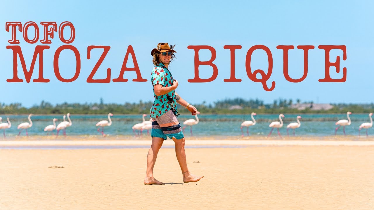 Tofo Mozambique Information Guide and Tips - December 2023