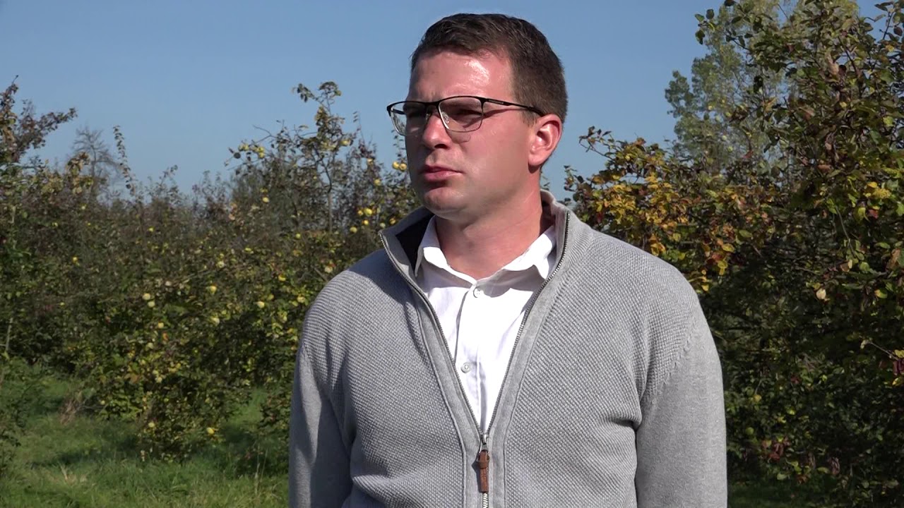 Dunje mladog Đorđa vratile na dedovinu u Tavniku
