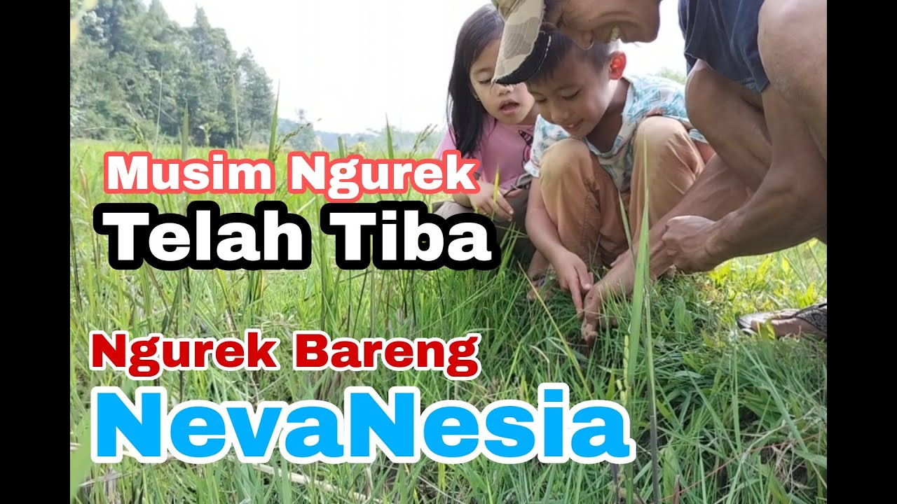 Mancing Belut Sawah Bareng Nevanesia | Gunlar Channel
