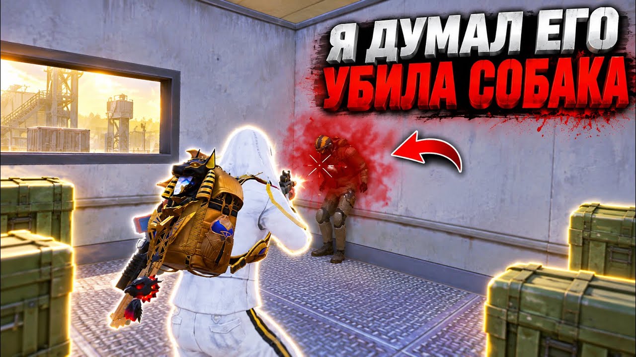 Я ДУМАЛ ЕГО УБИЛА СОБАКА! | ШТУРМ в МЕТРО Рояль | Metro PUBG Mobile