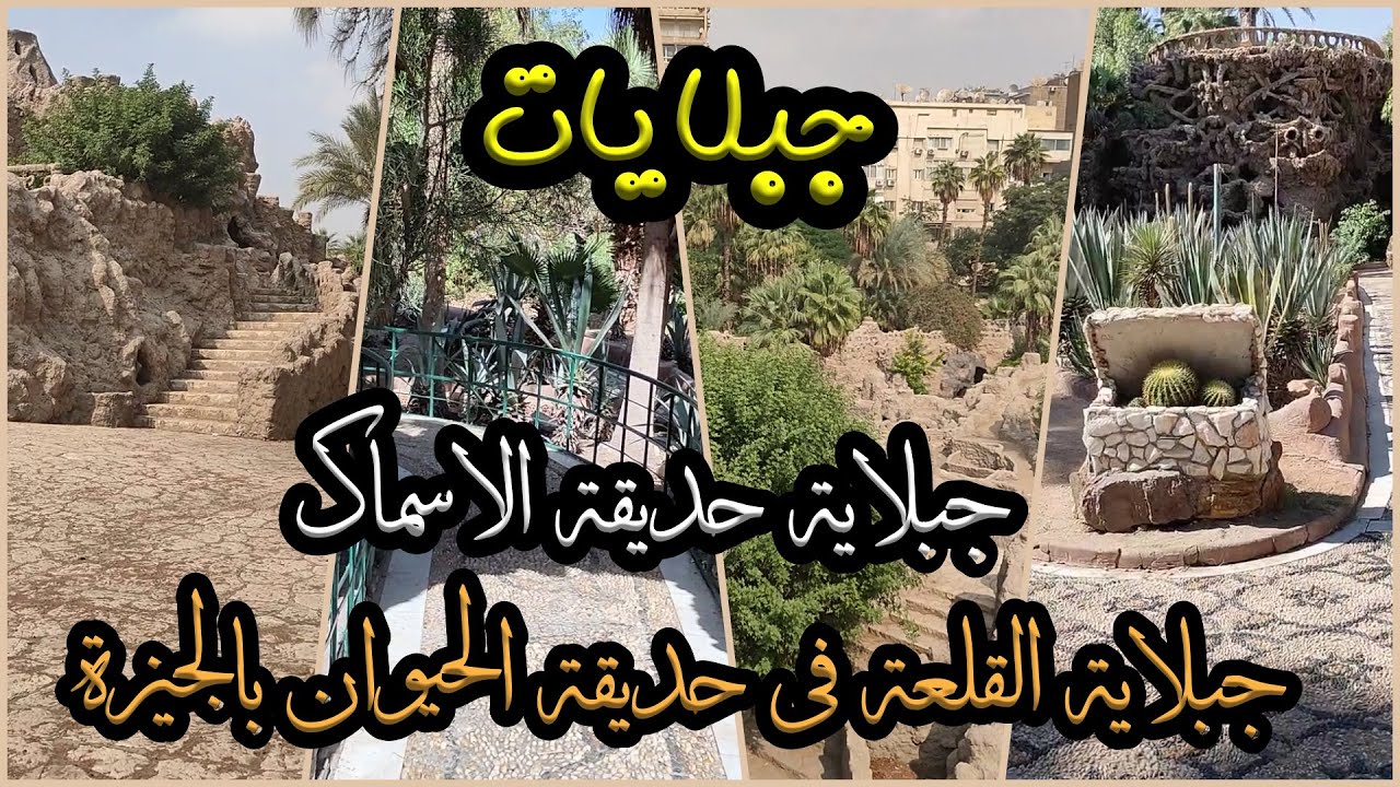 جبلاية حديقة الأسماك فى الزمالك  ا جبلاية القلعة فى حديقة الحيوان بالجيزة
