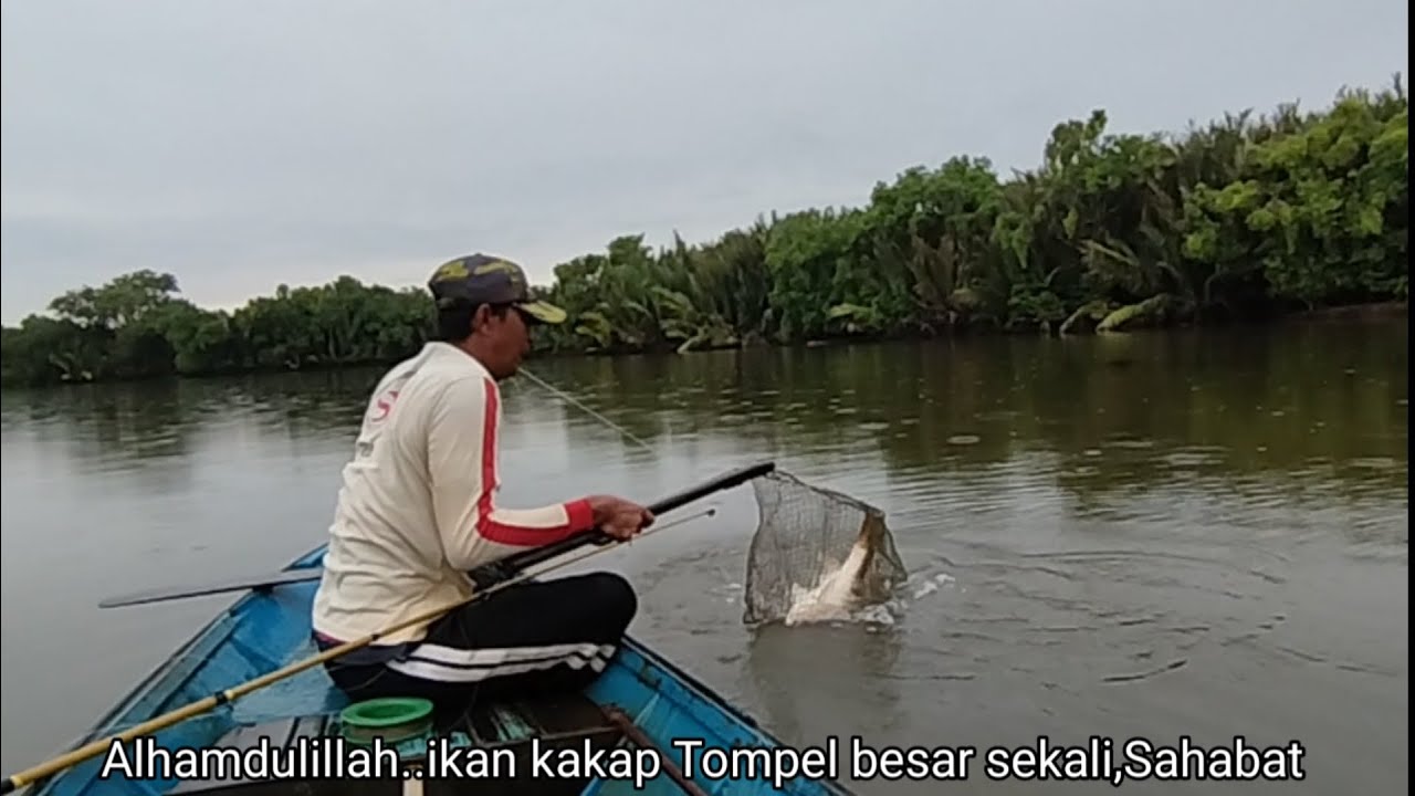Tiga kali sambaran beruntun ikan kakap besar,perahu sampai diseret