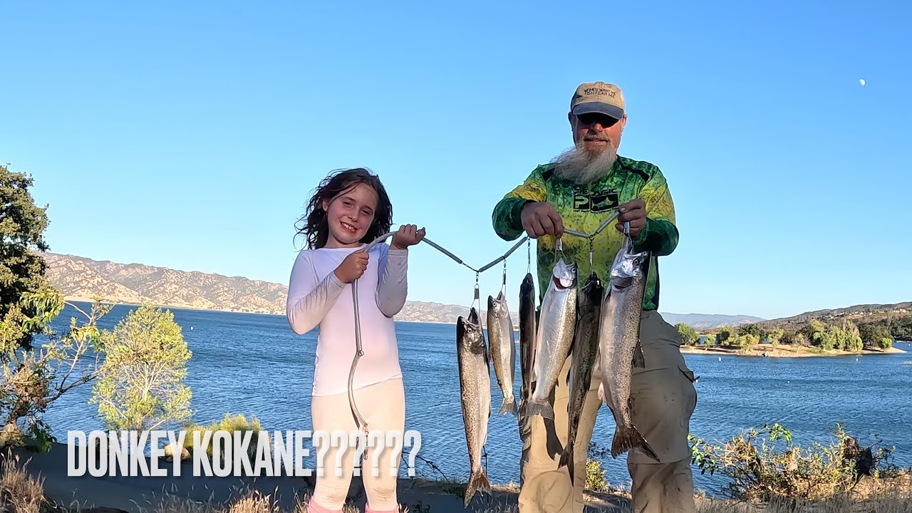 Lake Berryessa Kokanee fishing!!! Donkey Kokanee? EAGLE lake Trout!
