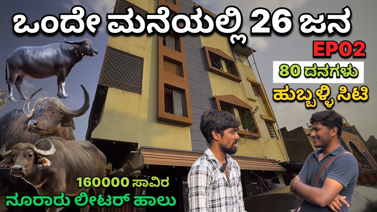 ಒಂದೇ ಮನೆಯಲ್ಲಿ 26 ಜನ ದನ ಸಾಕಾಣಿಕೆ ದಿನಕ್ಕೆ ನೂರಾರು ಲೀಟರ್ ಹಾಲು ಮಾರಾಟ-cattle farm joint family tour Ep-02