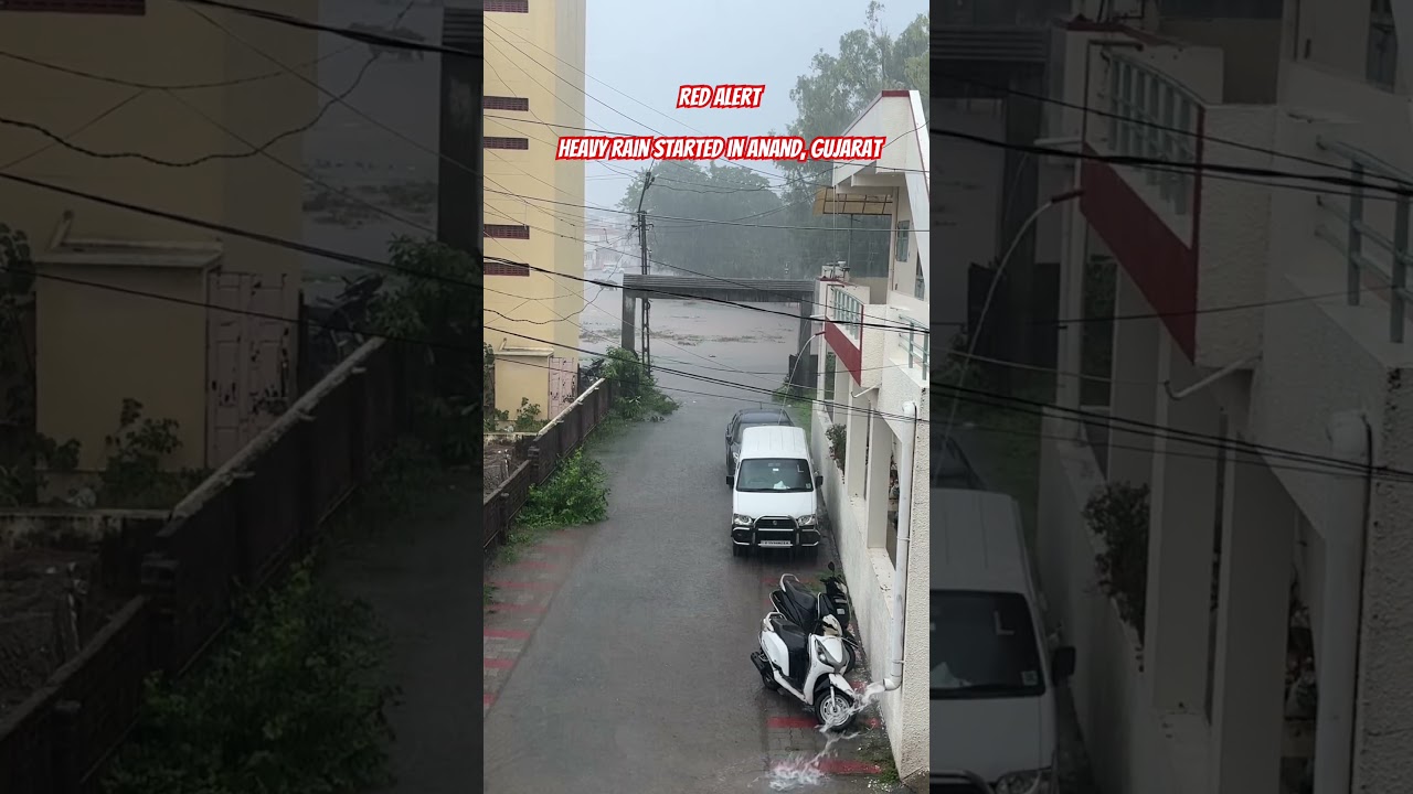 Red Alert | Heavy rain started in Anand, Gujarat #redalert #heavyrain