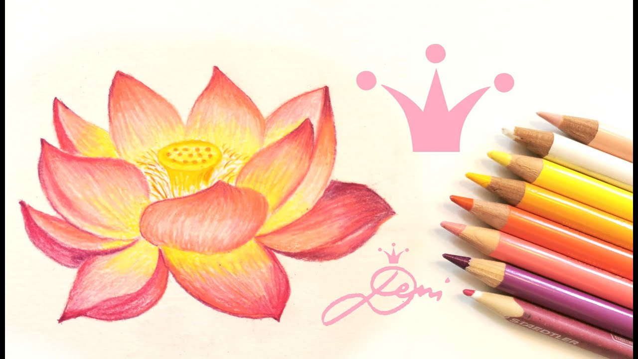 Lotosblume zeichnen lernen 🌺 Blume malen mit Buntstiften 🌺 How to draw a Lotus Flower