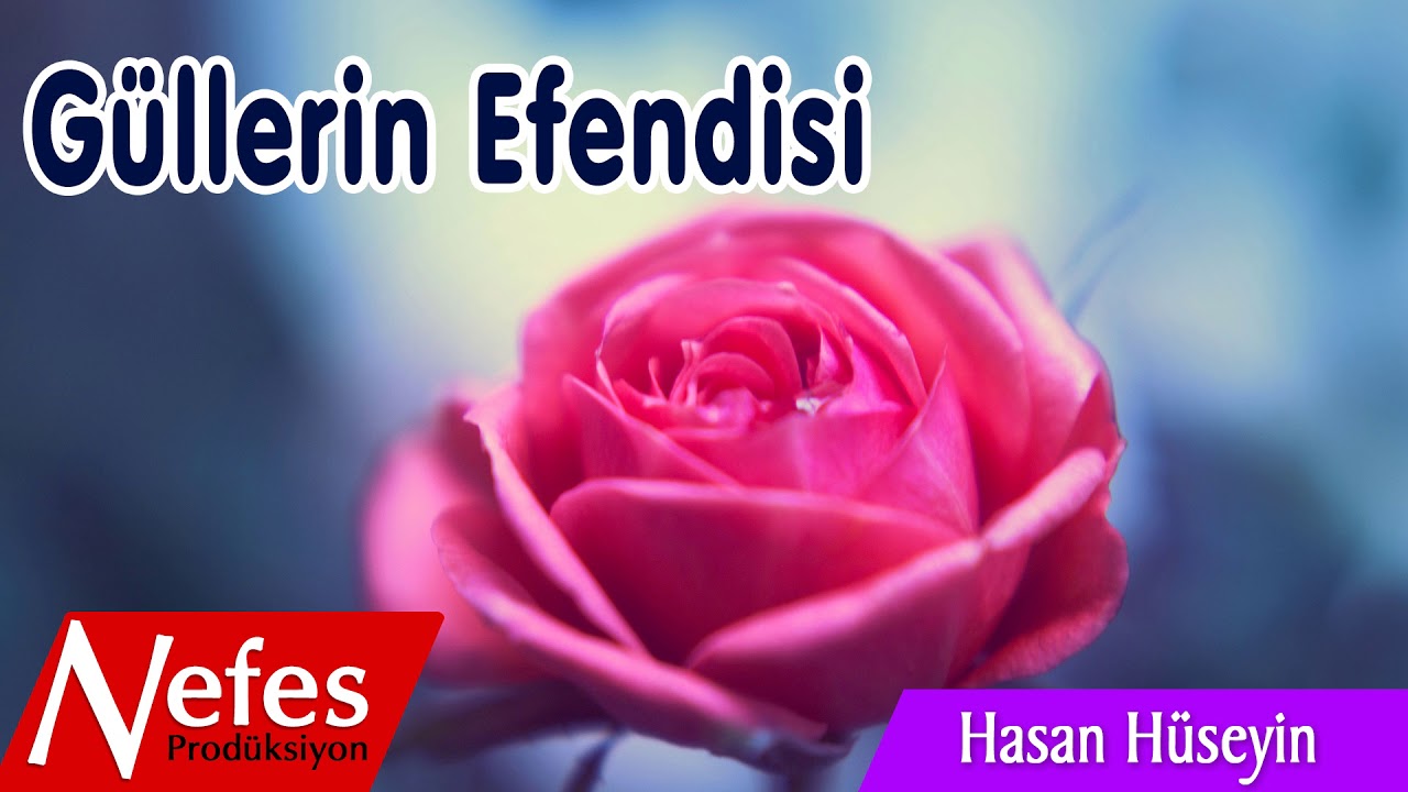 Güllerin Efendisi - Hasan Hüseyin