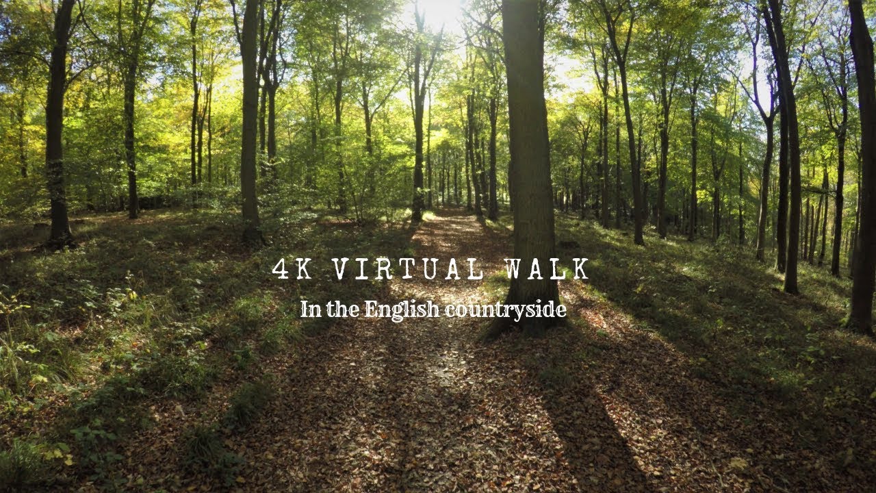 Relaxing Virtual Walk Forest Walk -Around An English Wood - See THe UK Through My Lens