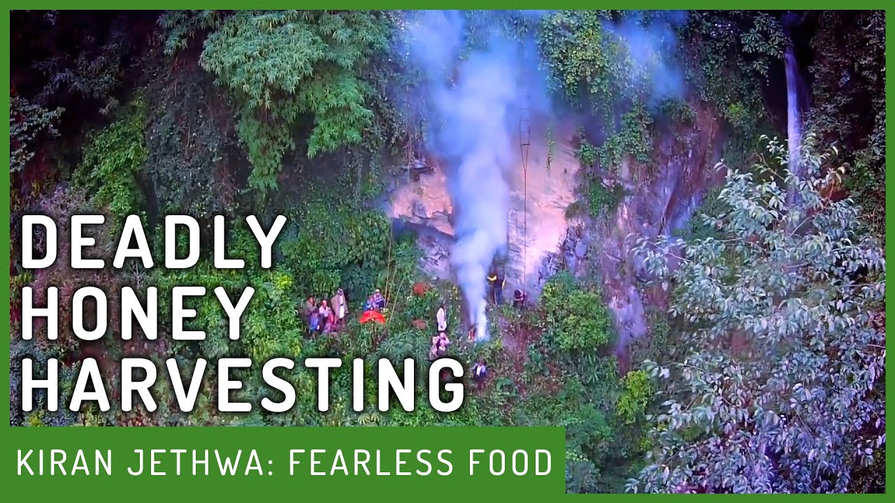 The MOST Dangerous Way Of Harvesting Honey | Fearless Food | Kiran Jethwa