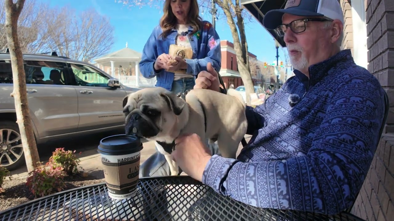 A Charming Stroll Through Historic Downtown Cleveland, TN! 🚶‍♂️🏡