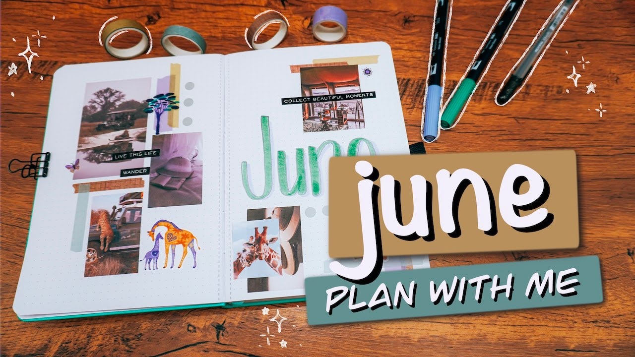 june plan with me | safari aesthetic 🦒🐘 | monthly bullet journal setup 🖊📓