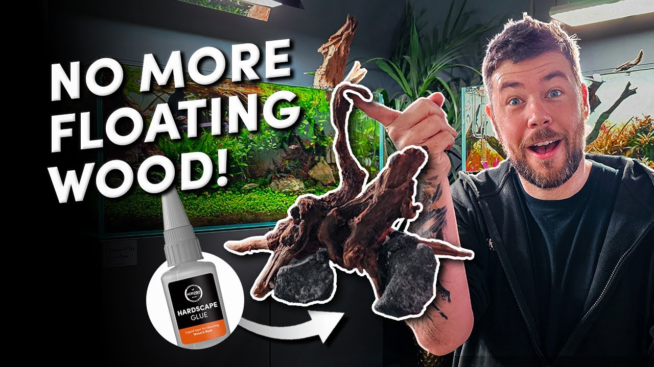 How to Glue Hardscape in Your Aquarium | STOP Floating Wood & Rocks FAST!