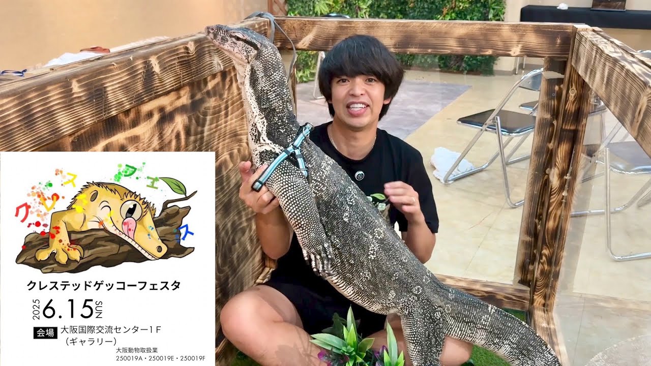 【クレスフェス】2m越えオオトカゲ2匹と大阪で初開催の爬虫類イベントに行ってみると...【全ブース紹介】