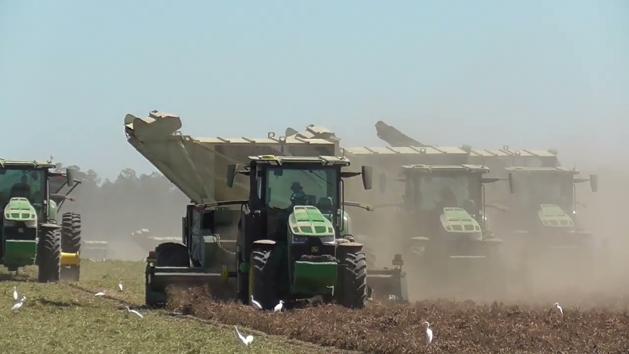 GREEN CIRCLE FARM 2022 PEANUT HARVEST 2
