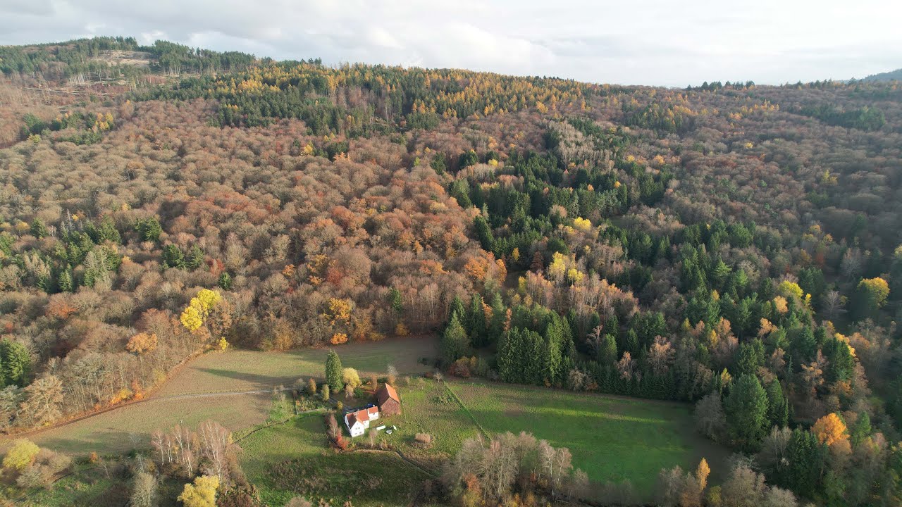 Taunus - Feldberg - im Herbst