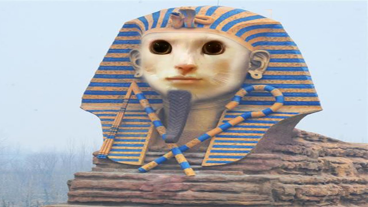 ⚰️巨恐怖古埃及法老⚰️