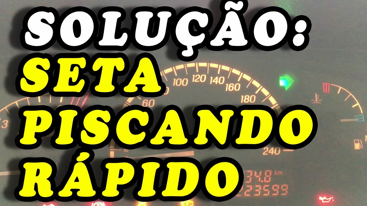 SETA (PISCA-PISCA) PISCANDO MAIS RÁPIDO DO QUE O NORMAL
