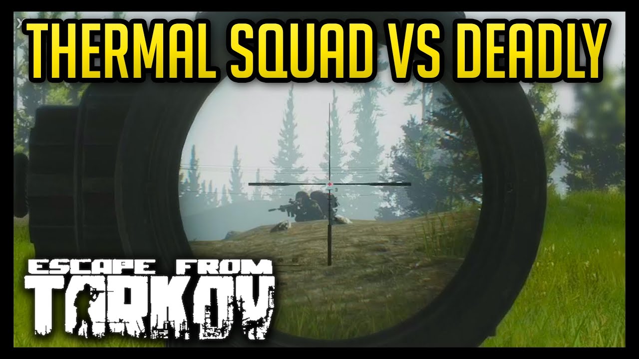 Thermal PMC Squad vs Deadly - Escape from Tarkov