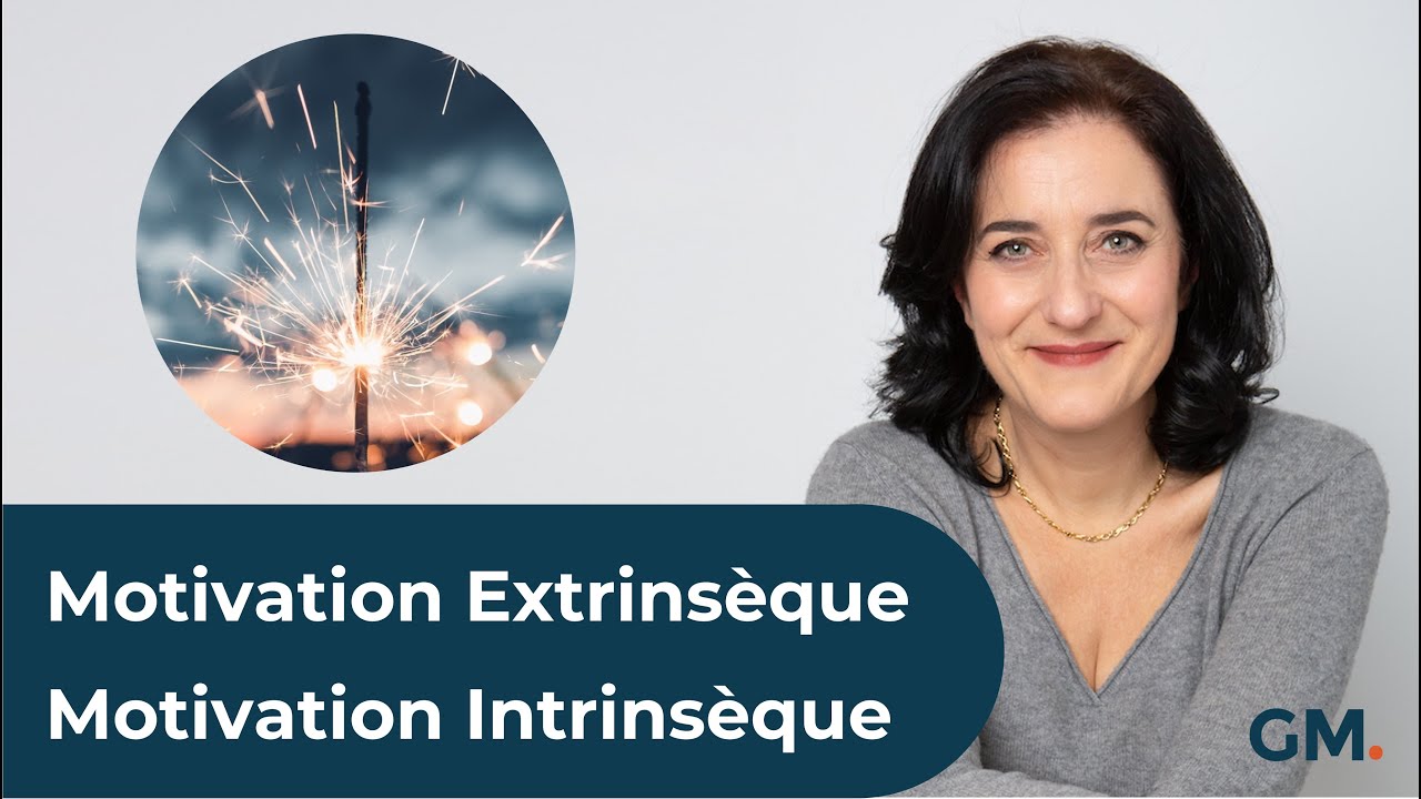 Motivation Extrinsèque et Motivation Intrinsèque