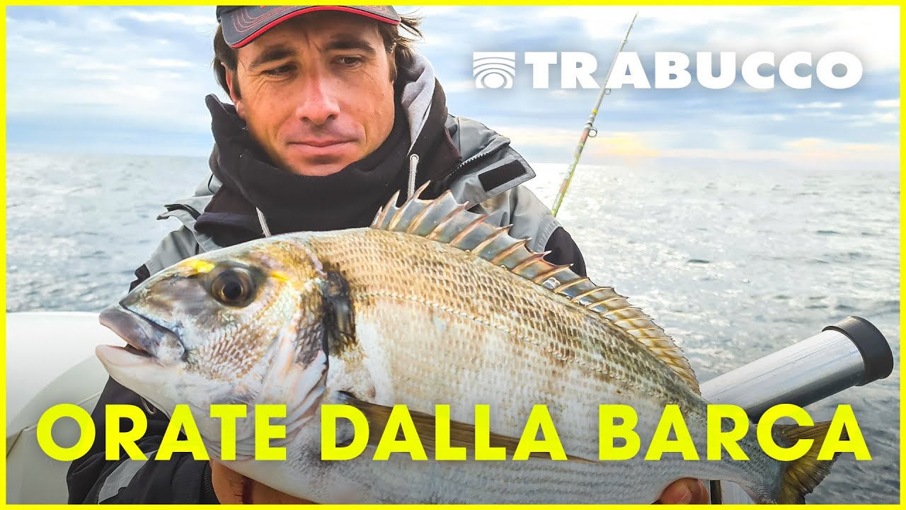 Come pescare ORATE dalla barca | Pesca a BOLENTINO | @Trabucco Fishing