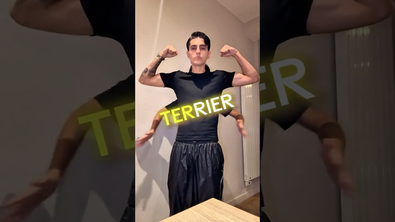 Pitbull Terrier Dance Trend!