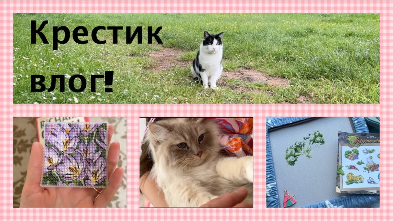 367. Вышивальные зарисовки ( неизданное из 2024 ) Часть№5
