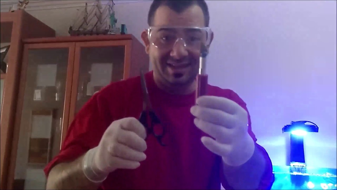 Cómo Esquejar un Sarcophyton (How To Frag Soft Corals)